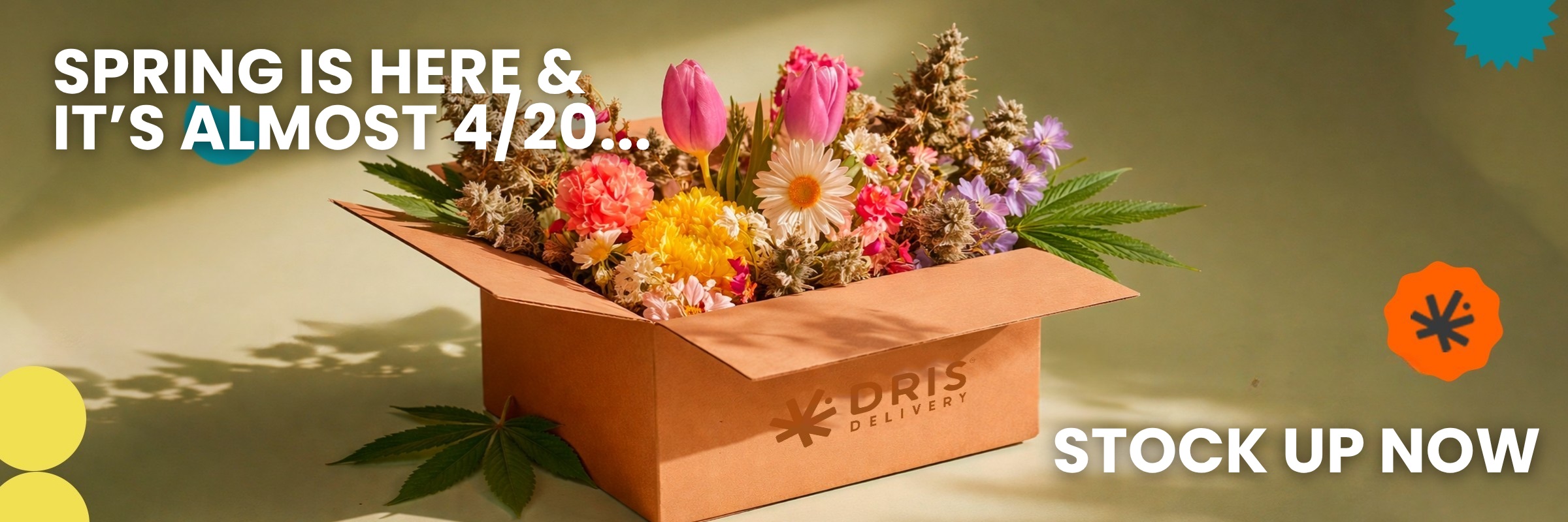 Slider Banner Image 1